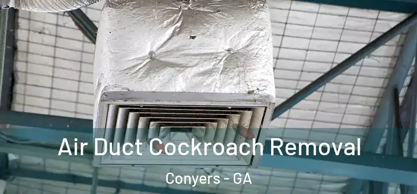 Air Duct Cockroach Removal Conyers - GA