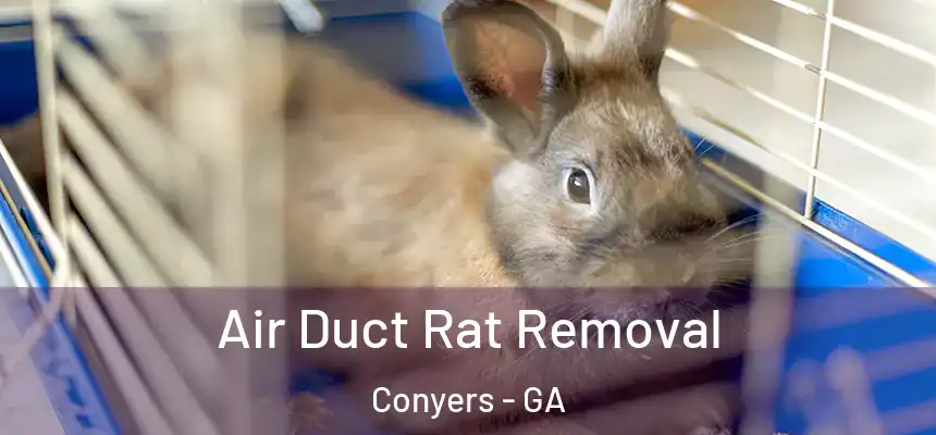  Air Duct Rat Removal Conyers - GA