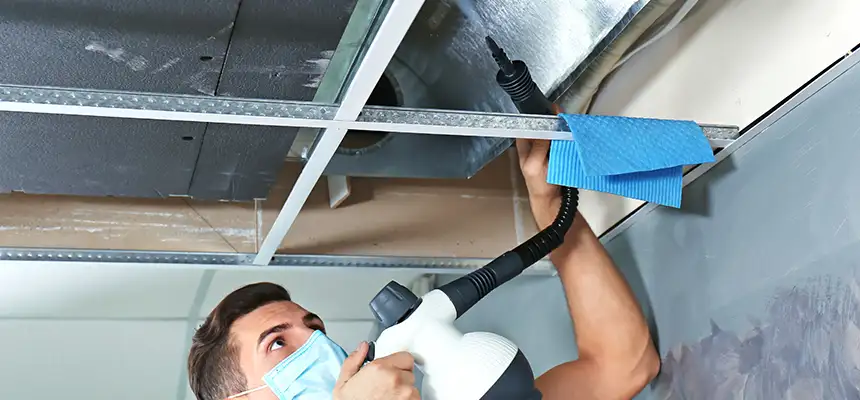Our Air Duct Rodent Removal Services in Conyers, GA