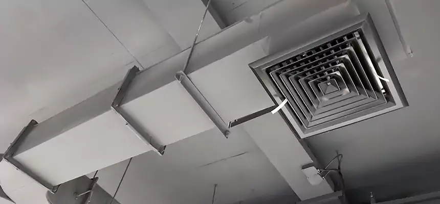 Restorative Allergy Relief Vent Cleaning – Coil, Blower & Housing Detail in Conyers