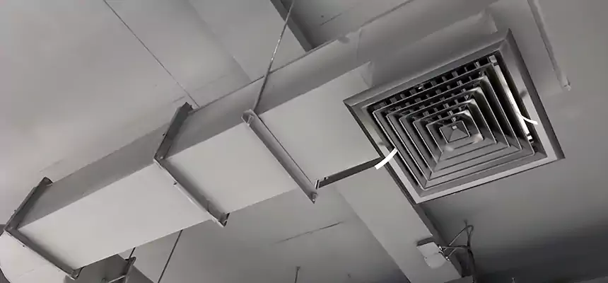 Our Pest Removal From Ducts Services in Conyers, GA