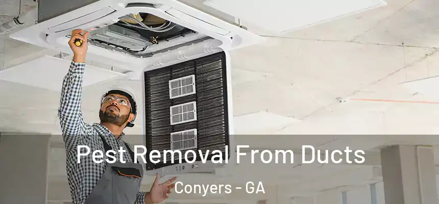 Pest Removal From Ducts Conyers - GA