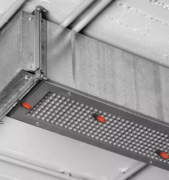 Affordable Insect Removal from Air Ducts in Conyers, GA