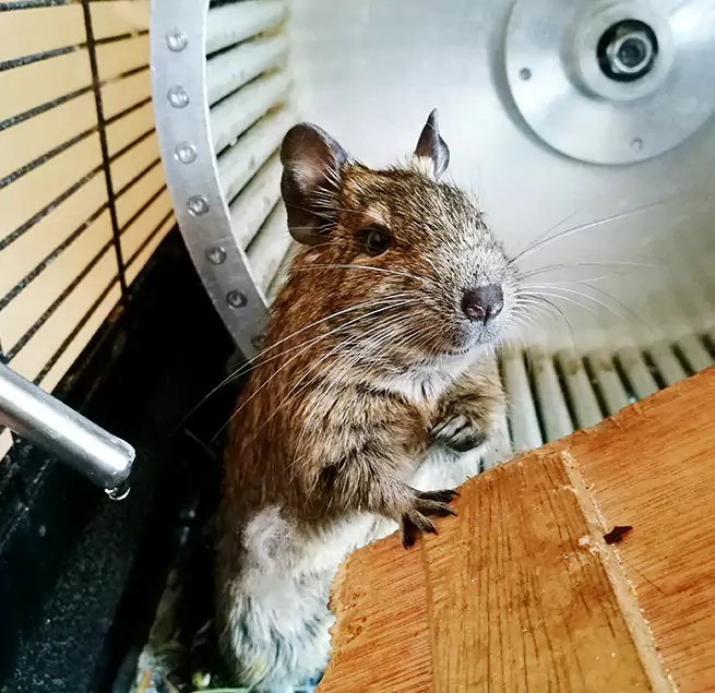 Why Homeowners & Businesses Trust Us Conyers, GA