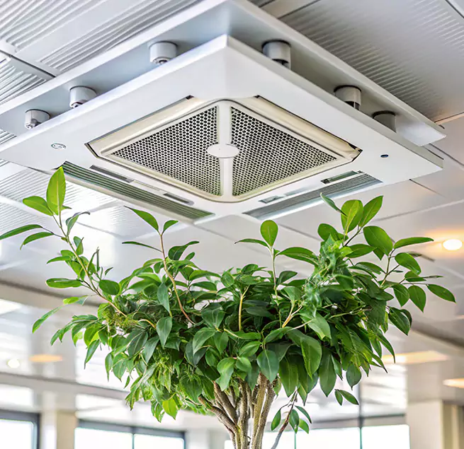 Why Homeowners & Businesses Trust Us in Conyers, GA?