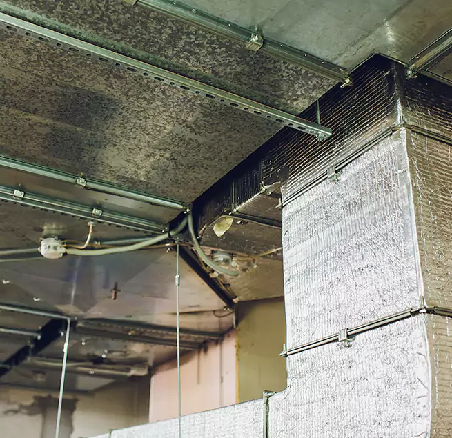 Why Homeowners & Businesses Trust Us in Conyers, GA?